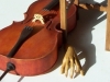 Cellist, Details